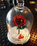 Forever Rose with Billet Aluminum Base and Glass Cover
